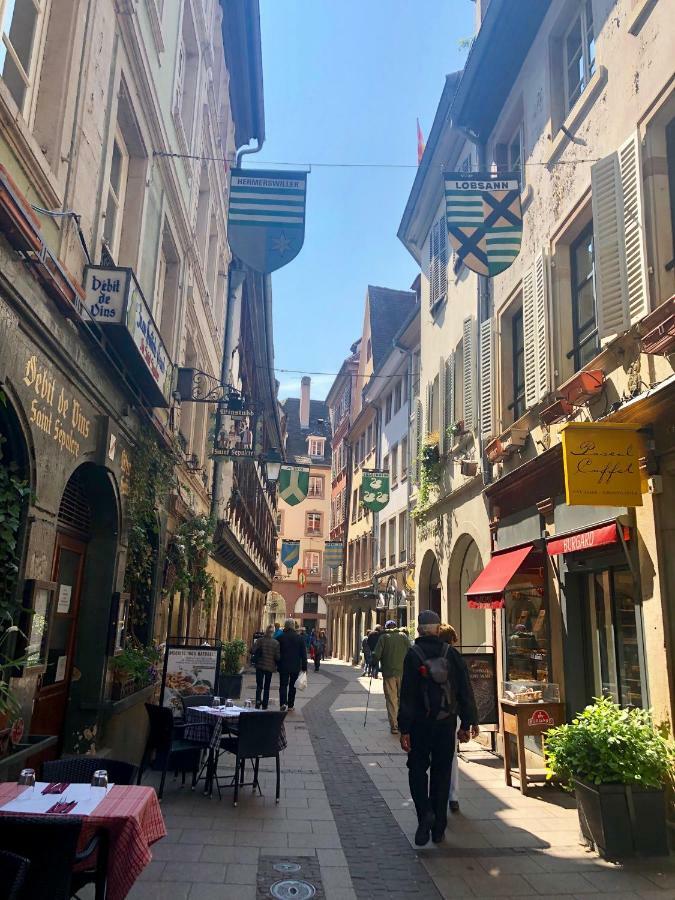 Carpe Diem - Au Pied De La Cathédrale Appartamento Strasburgo